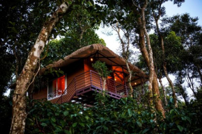 Coffee Cradle Wayanad Luxuorios Private Tree House - Inside 2 Acre Coffee Plantation